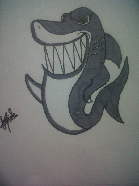 Shark