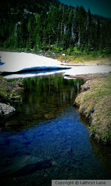 Mountain Meadow