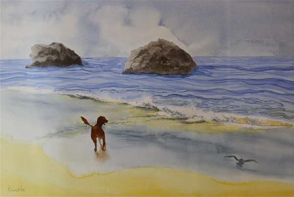 sea dog