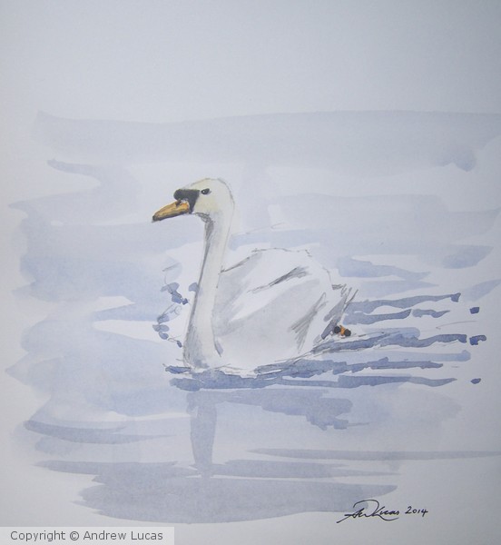 The swan