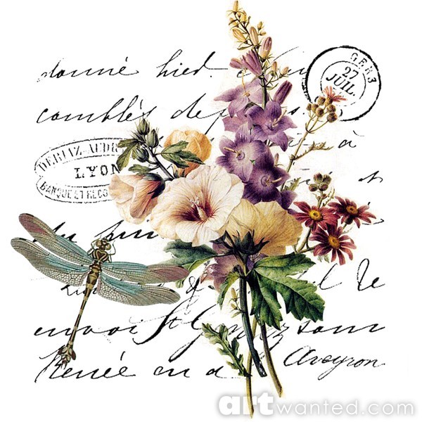french dragonfly floral
