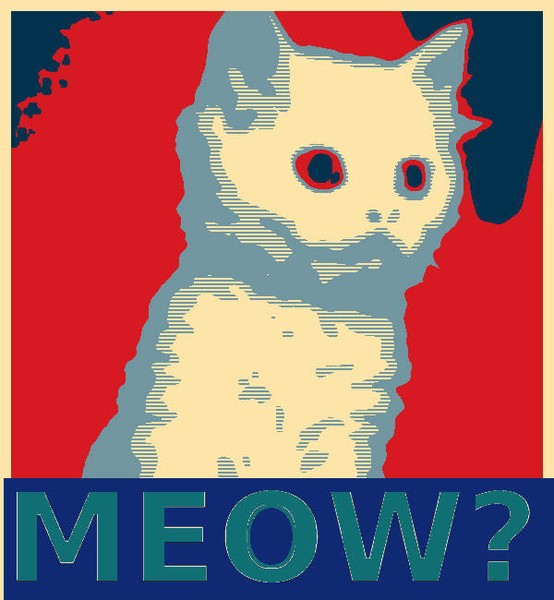 The psychedelic cat