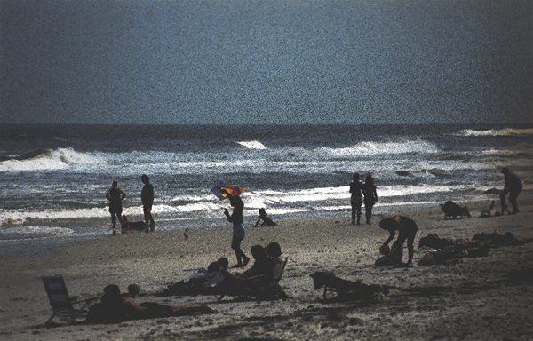 day at the beach