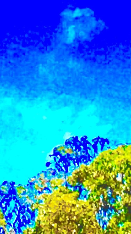Cloud and Flowers