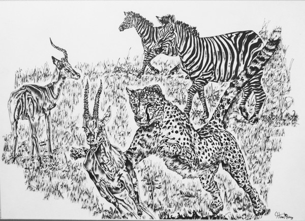 the chase