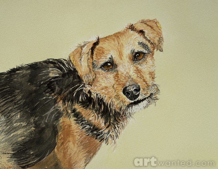 Quizzical Dog at the Cafe 120716 0485