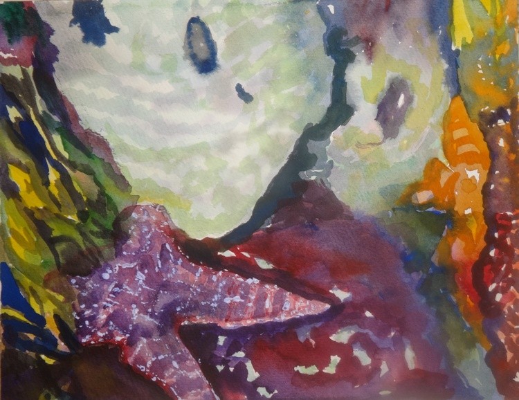 Purple sea star