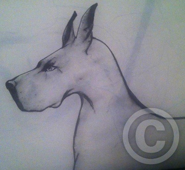 Dog Sketch