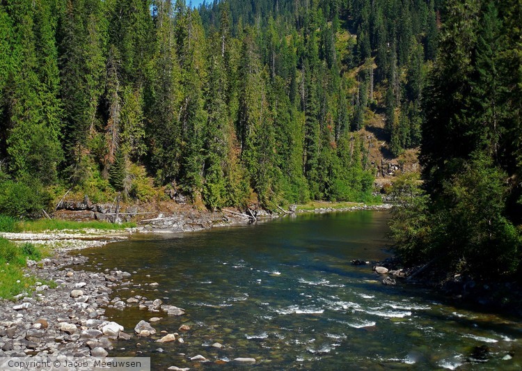 A river runs through it
