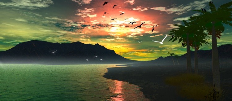 Paradise