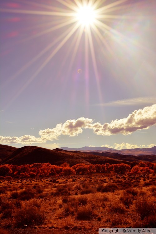 Desert Sun
