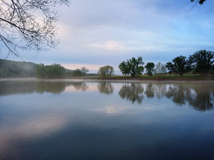 James in Spring