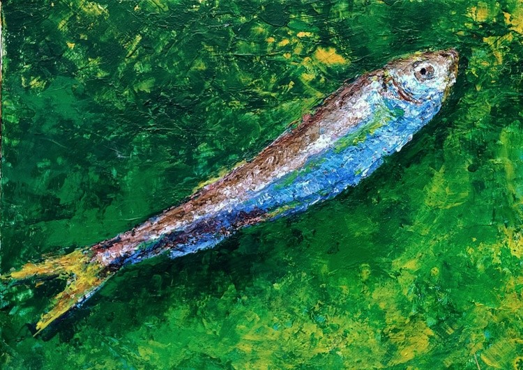 Baltic sea fish