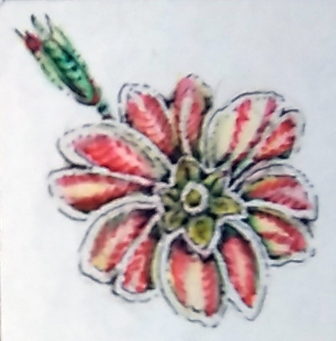 Four OClock Watercolor