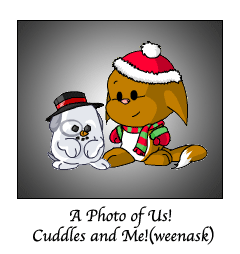 Photo of neopets