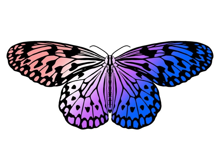 LGBTQIA+ Butterflies: Genderfluid