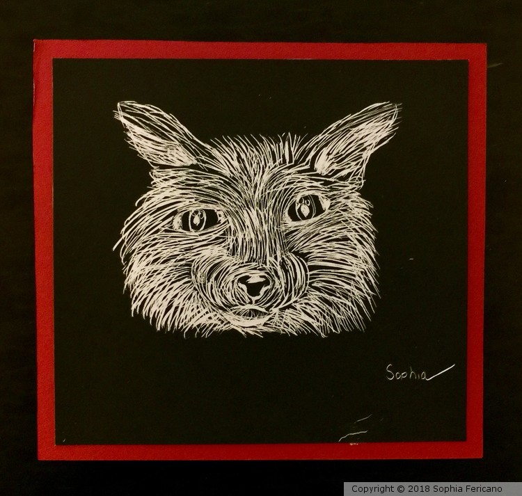 Arctic Fox