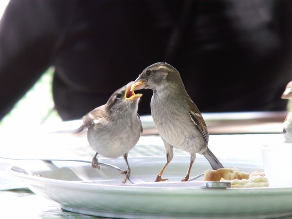 Lunch time
