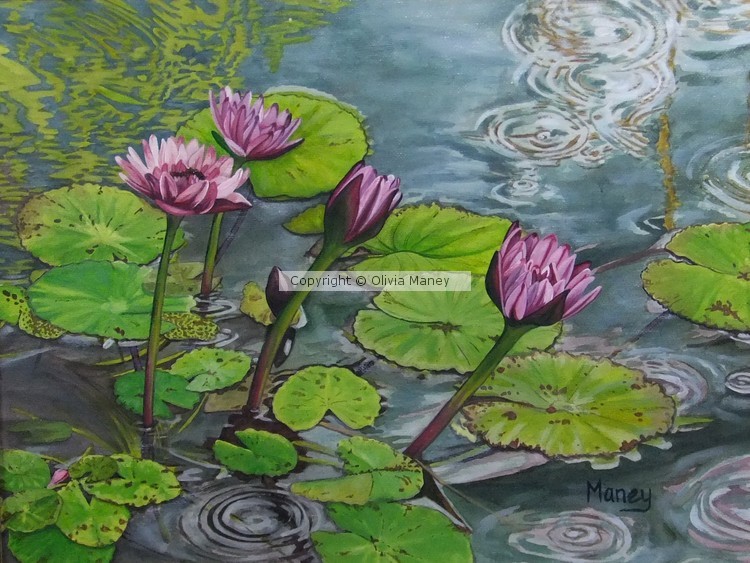 Hawaiian Waterlilies #4