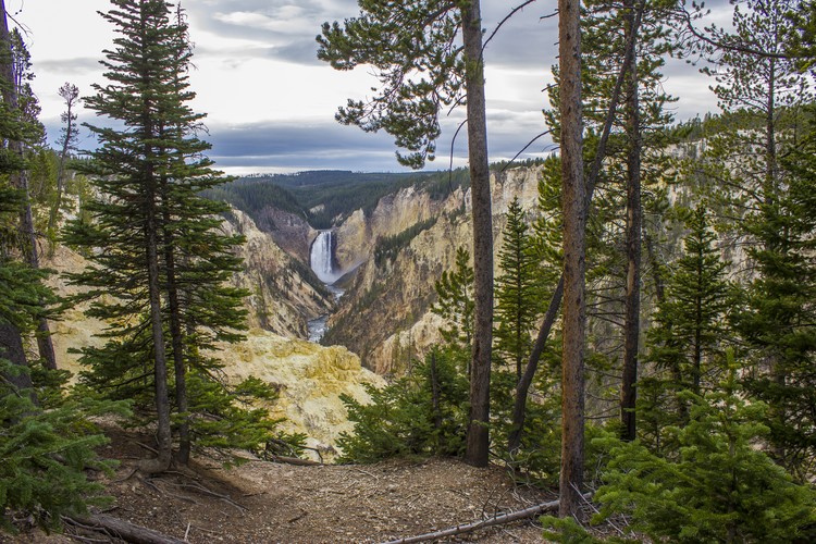 Yellowstone Falls