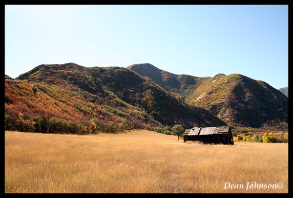 Ramshackle Shed