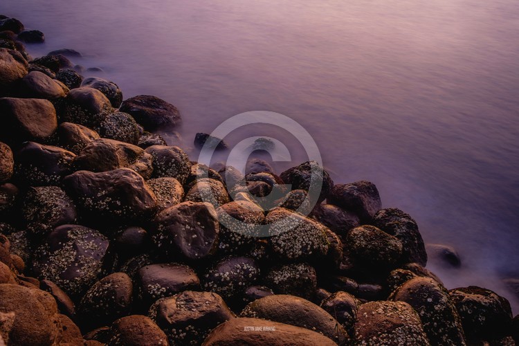Shore Rocks
