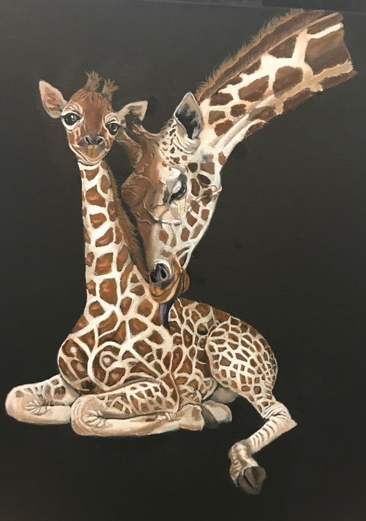 GIRAFFES