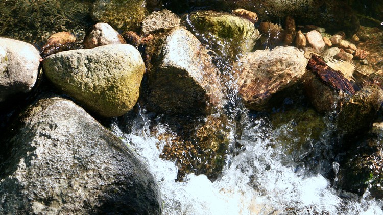 The River Pushes On