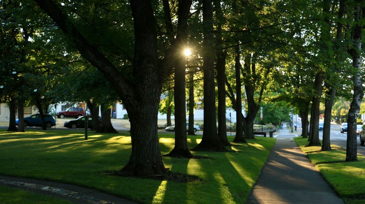 A Park at Sunset,