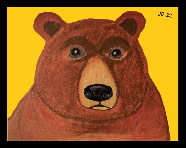 Brown Bear 222 3D