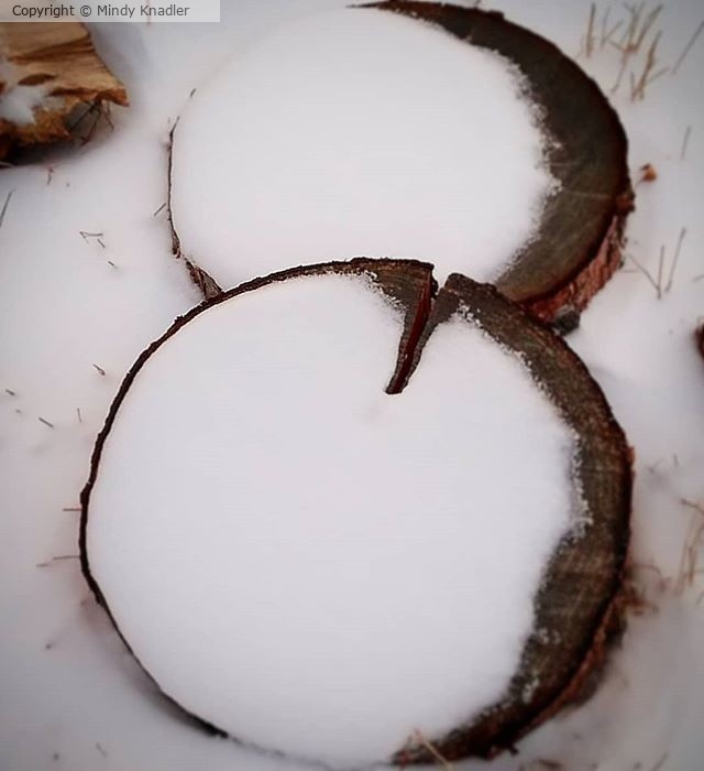 wood snowman