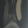 99563 1577764