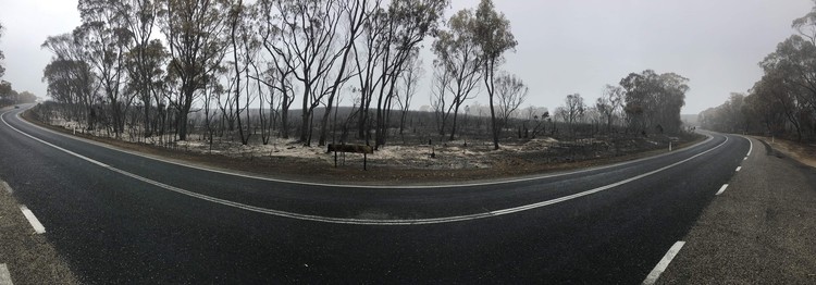 Wild fire devastation