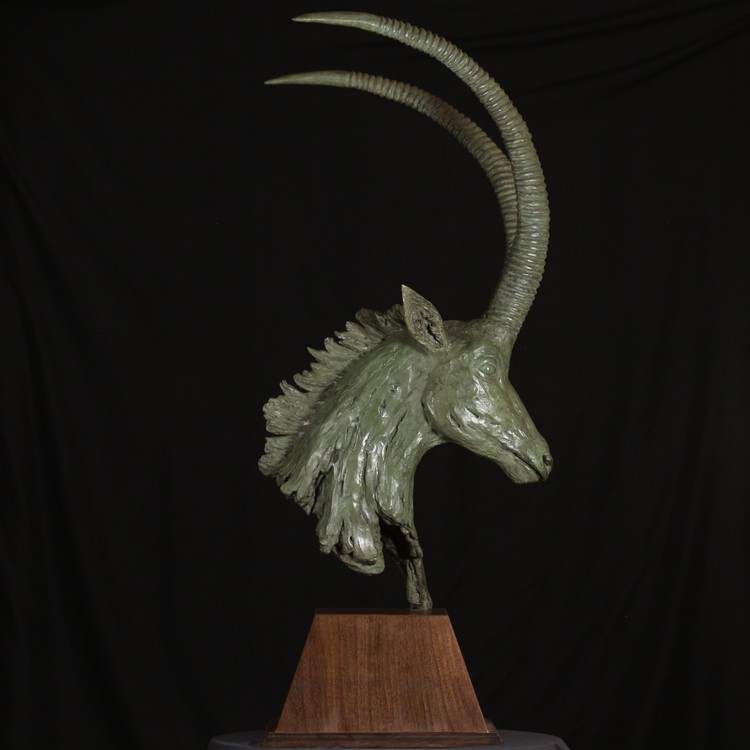 SABLE ANTELOPE BUST