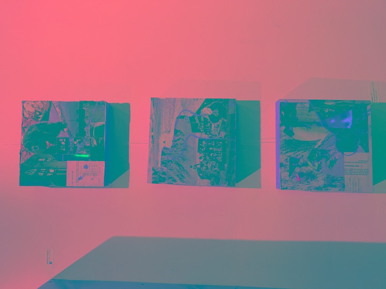 IMG 0378