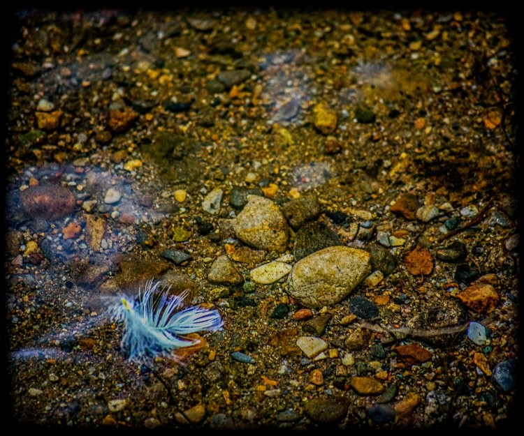 ROCKY CREEK WITH WHITE FEATHER