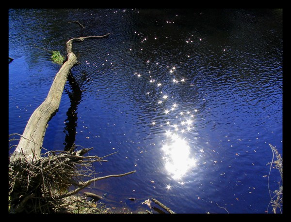 Liquid Twilight