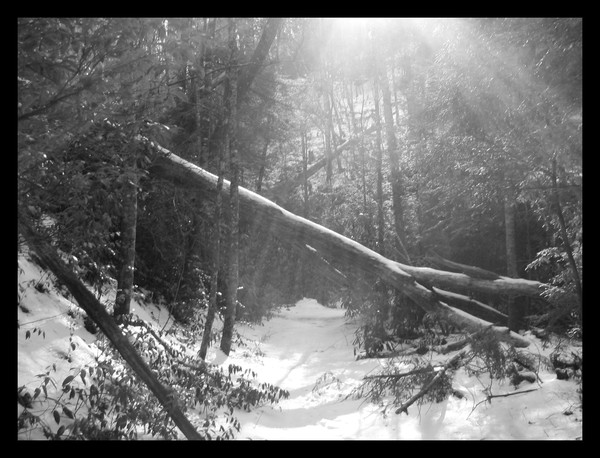 Obstacles of Your Embrace B+W