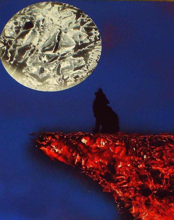 Moon Song 51