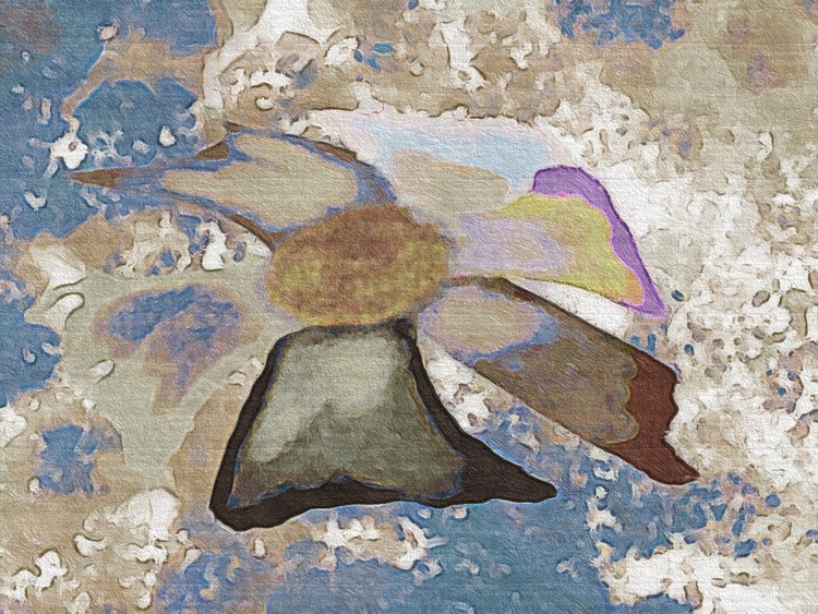 Flower In The Sand