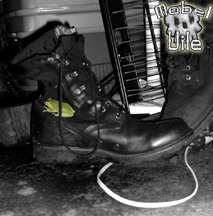 Boot Frog
