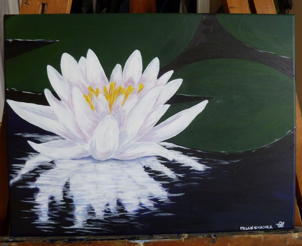 Water Lily