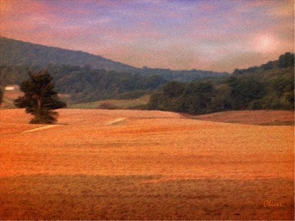 After The Harvest