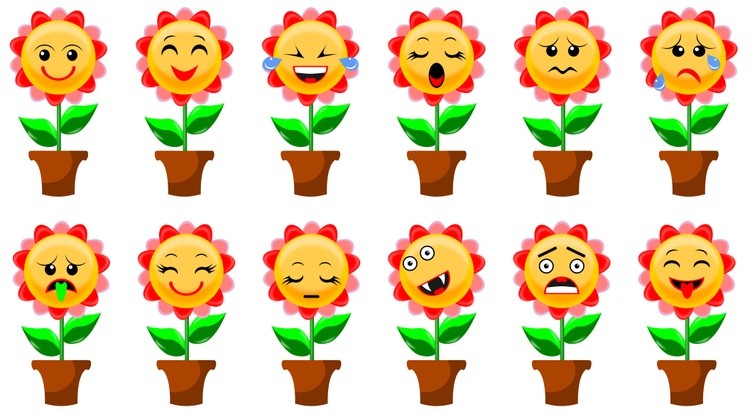 Emoticon homemade flower in a pot
