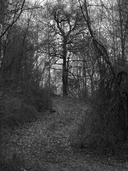 The Road To Nowhere