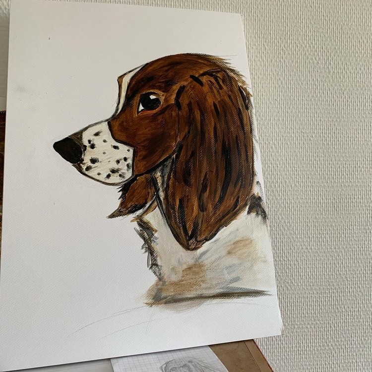 20072021 painteddog springerspaniel acrylicpainting  art artwork artist artofinstagram artistic arti