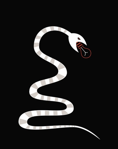 Electrical Snake