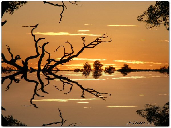 Play On Reflections 
