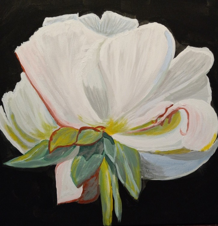 The Eustoma