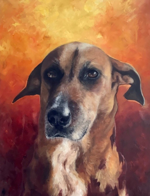 Dog portrait